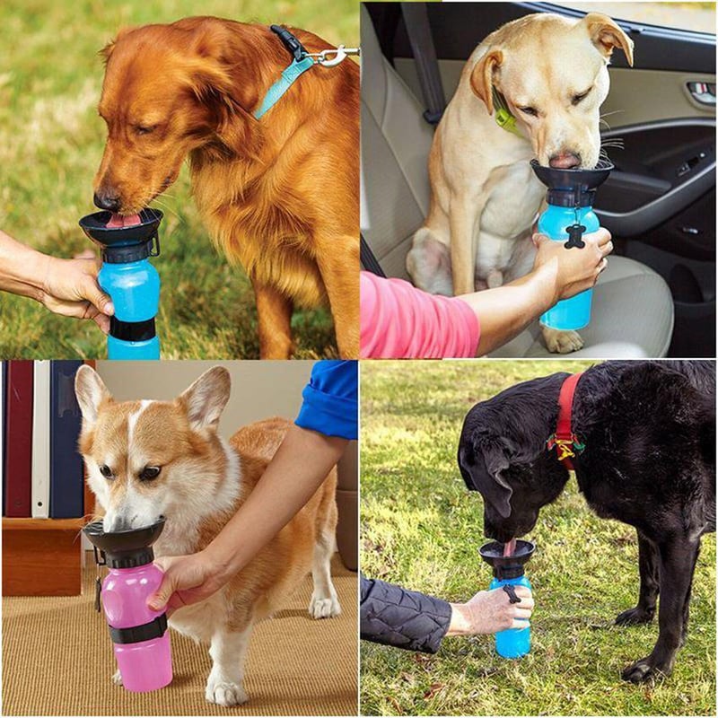 Bebedero Portátil para Mascotas — Hidratación en Paseos